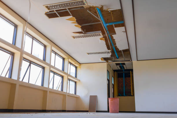 Water damage restoration mold remediation in Prior Lake, MN