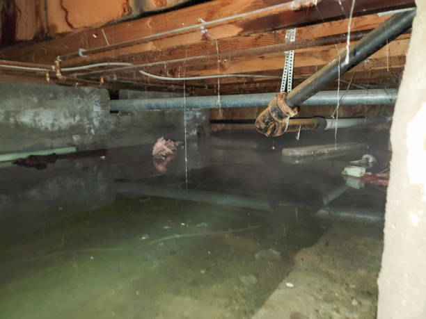 Best Water damage restoration near me  in Prior Lake, MN