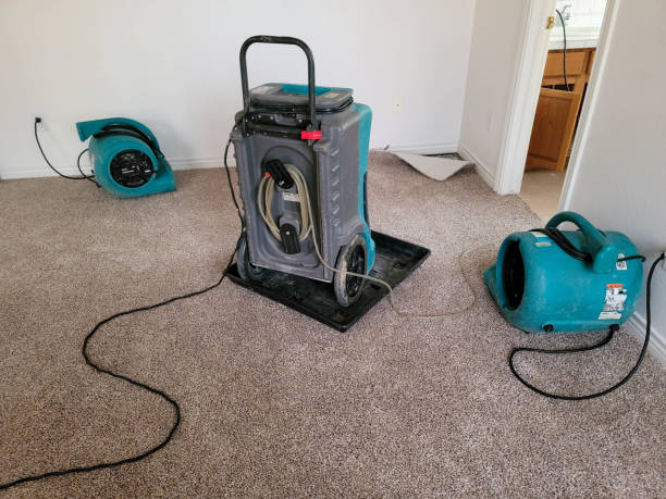  Prior Lake, MN Water damage restoration Pros