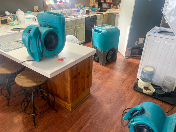 Best Basement water damage restoration  in Prior Lake, MN