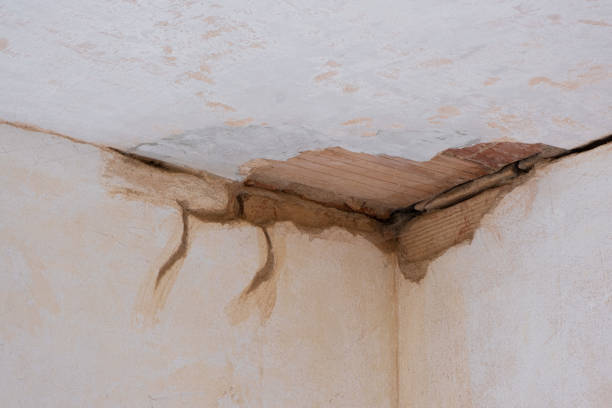 Best Water damage restoration mold remediation  in Prior Lake, MN