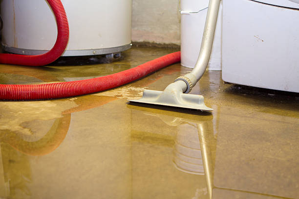 Best Carpet water damage restoration  in Prior Lake, MN