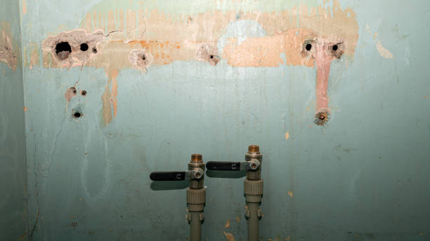 Best Water damage restoration company  in Prior Lake, MN