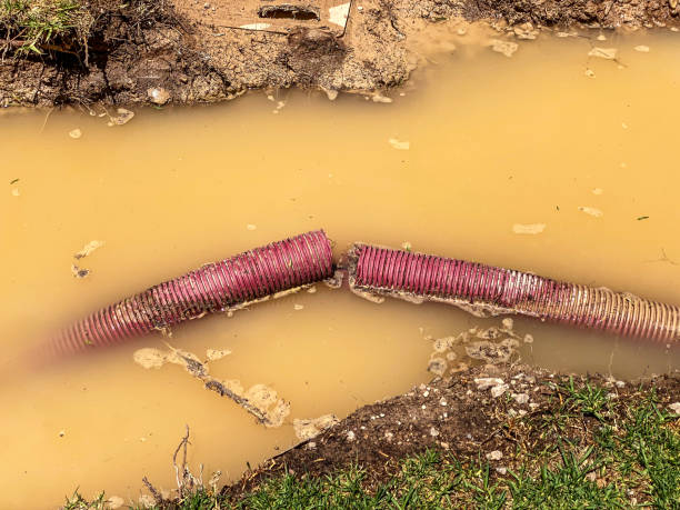 Reliable Prior Lake, MN Water damage restoration Solutions