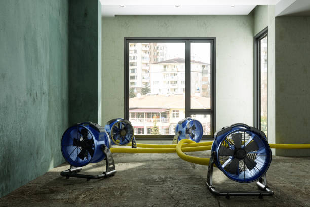 Trusted Prior Lake, MN Water damage restoration Experts